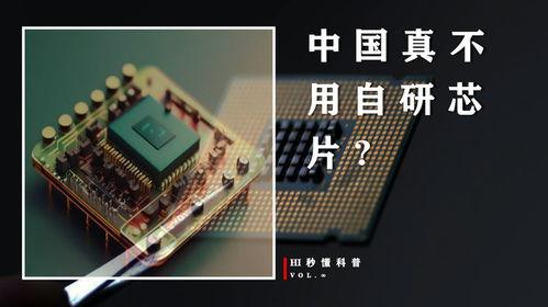 小学生谈国产芯片视频,小学生眼中的创新力量