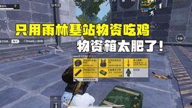 国产武器吃鸡视频,国产武器吃鸡视频大揭秘