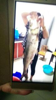 国产人之初免费视频,揭秘中国传统文化与现代生活的交融