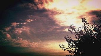 国产风景视频大全,国产风景视频大全精选集锦