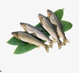 黄鱼视频高清国产,国货之光，高清盛宴