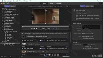 国产x视频网站在线,引领潮流的在线娱乐新天地