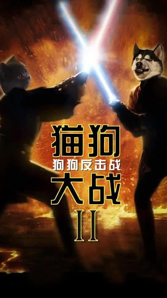 国产打斗真实视频大全网站