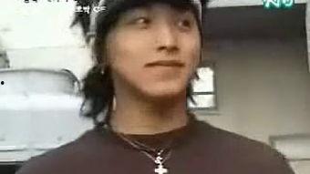 青青国产茄子视频,探寻茄子美食的独特魅力