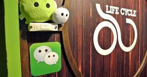 国产小q娃视频链接,带你领略国风娃娃的魅力