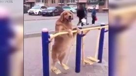 国产3p视频合集在线,激情四溢的视觉盛宴