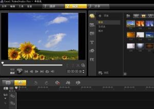 国产专业视频处理软件